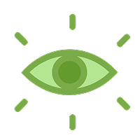 Vision